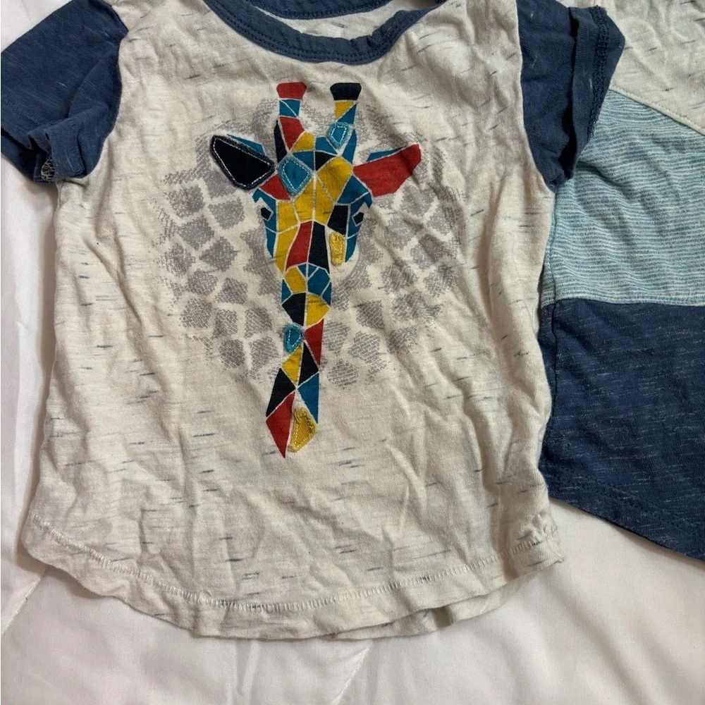 Set of 2 18M OshKosh B'gosh Kids Short Sleeve Tees - Multicolor and Blue